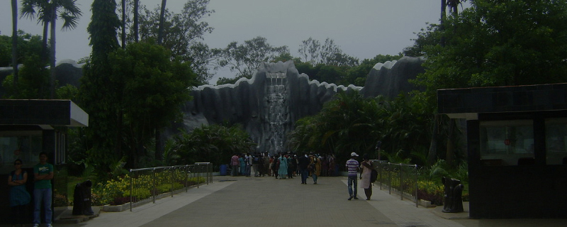 Arignar Anna Zoological Park 